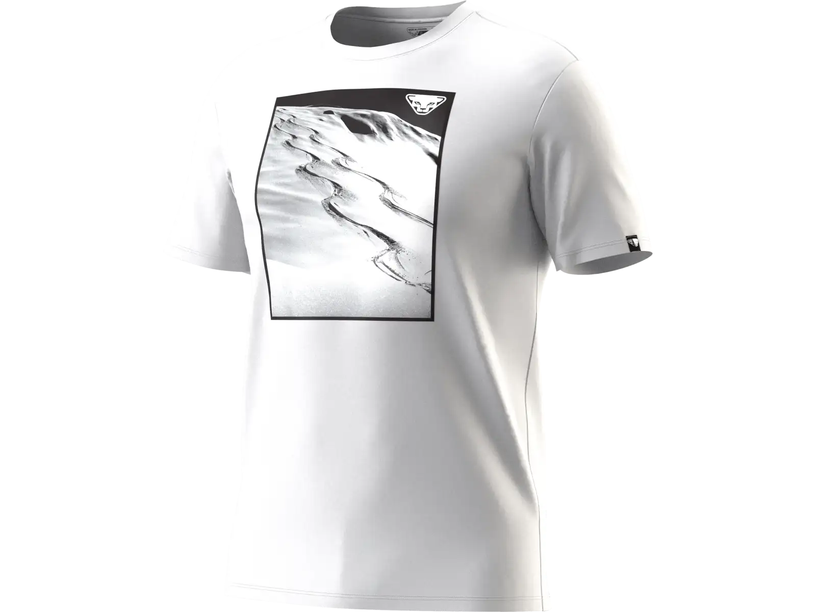 Dynafit Graphic Cotton Herren T-Shirt Kurzarm Smoke Blue/Tabloid