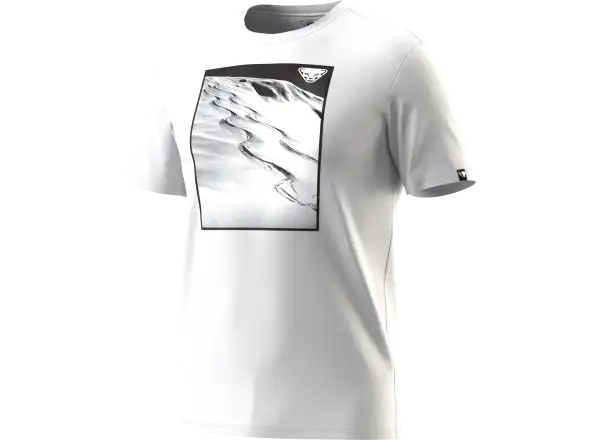 Dynafit Graphic Cotton Herren T-Shirt Kurzarm Smoke Blue/Tabloid