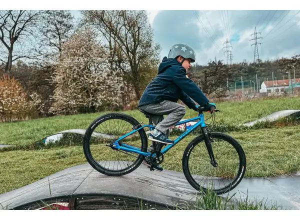 Rascal 24 7 mit Shimano Nexus Kinderfahrrad Titanium