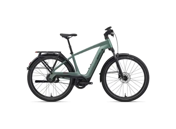 Giant Explore E+ 2 DD Trekking-E-Bike Alpine Green