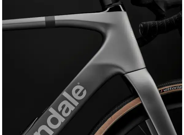 Cannondale Synapse Carbon 2 – Rennrad – Grau