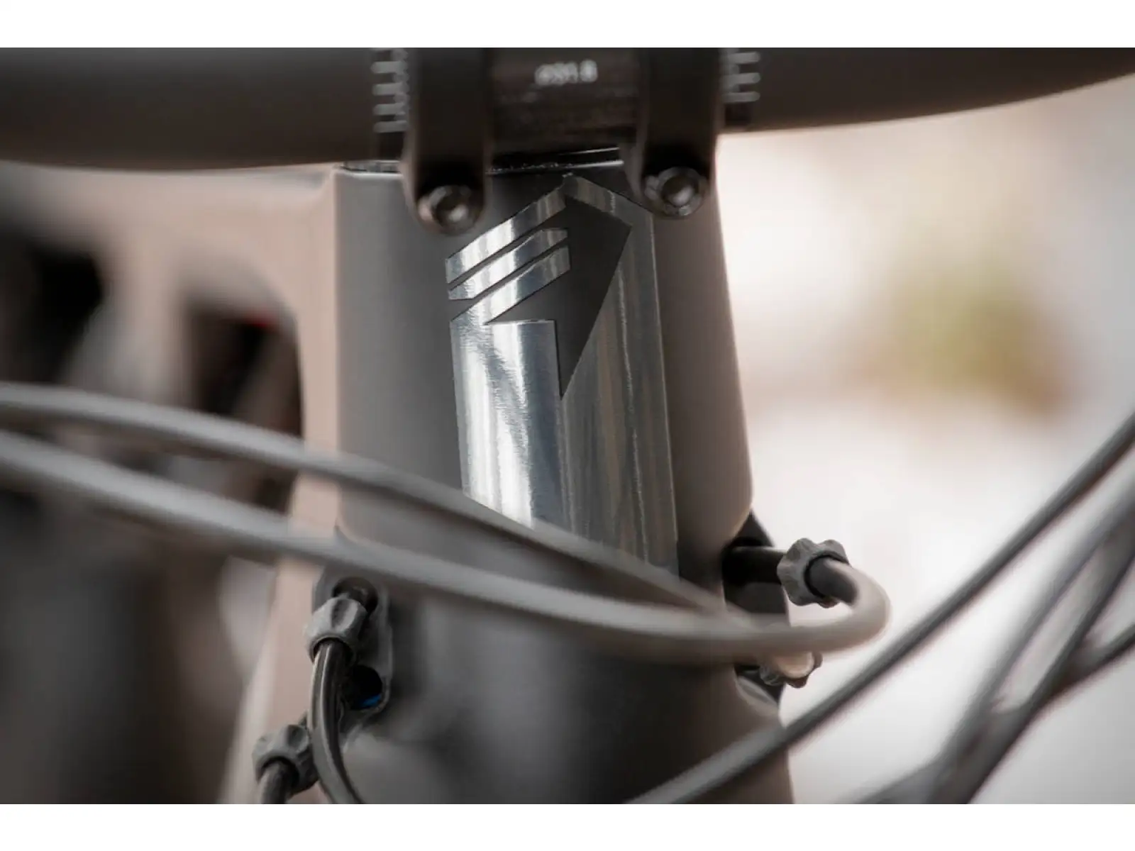 Übersetzung: Superior Team XF 29 Issue Mountainbike Gloss Carbon/Chrome