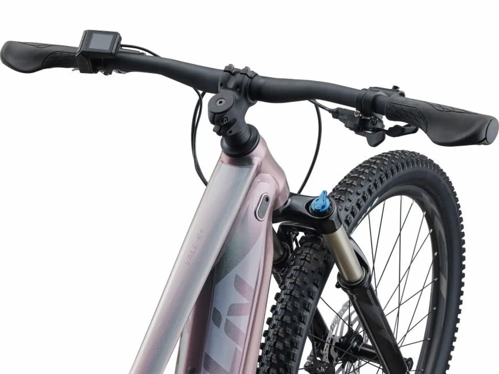 Liv Vall-E+ 2 29 Echeveria 2022 Damen E-Mountainbike