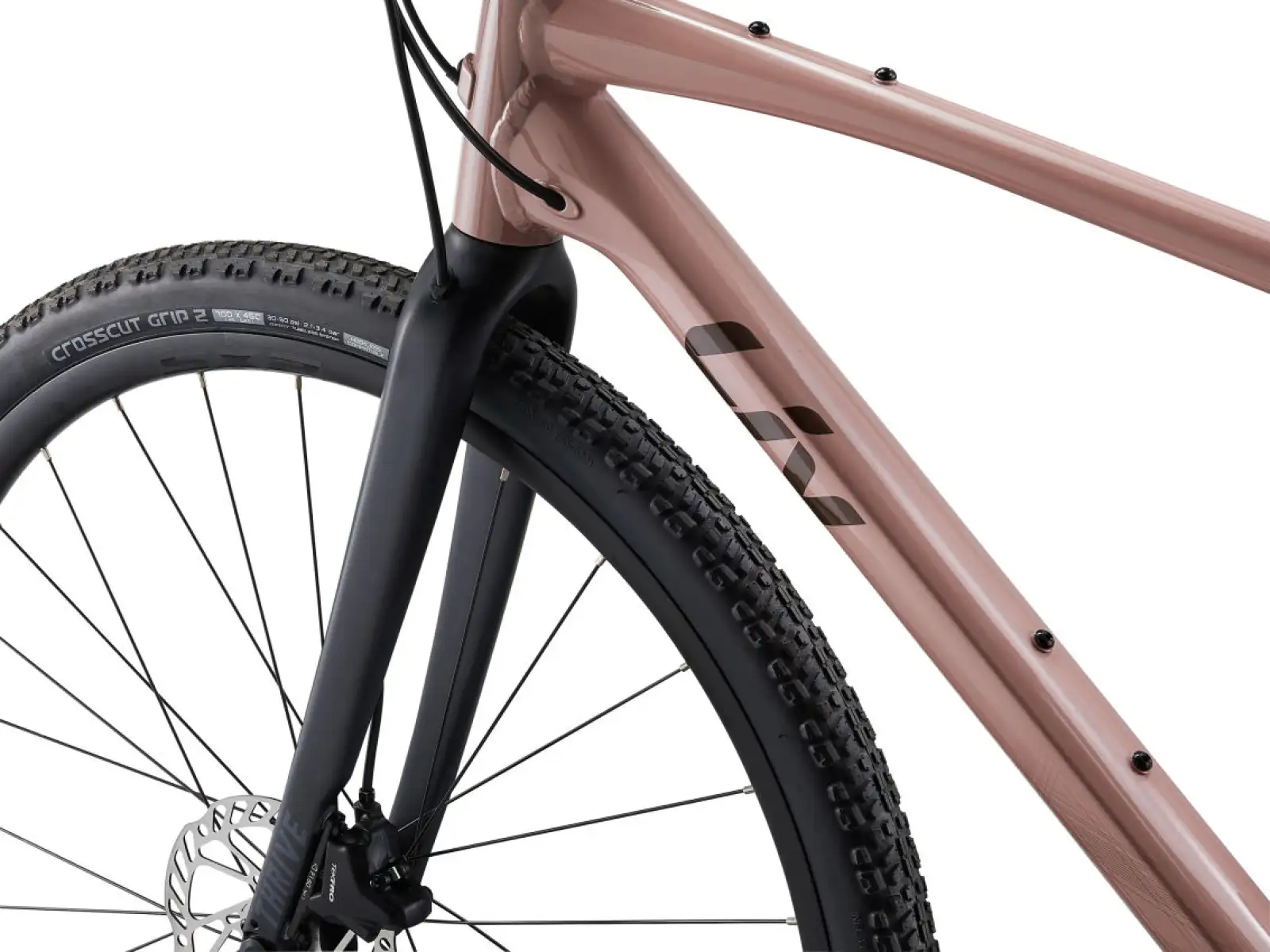 Liv Thrive GX Fitnessrad von Petra Clay.