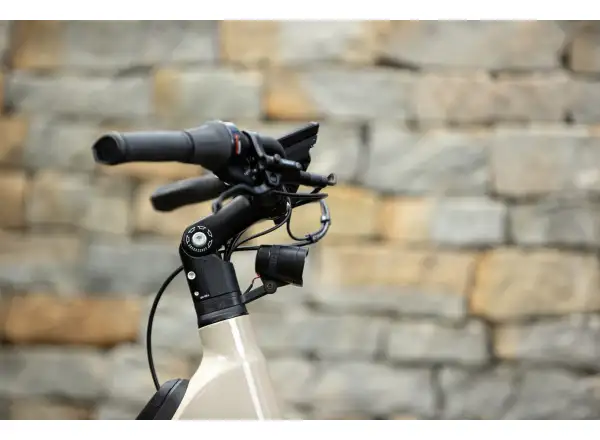 Superior eWAY 6.45 City E-Bike Gloss Dust