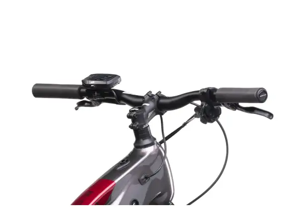 Crussis e-Cross low 9.10-M (720 Wh) Trekking-E-Bike