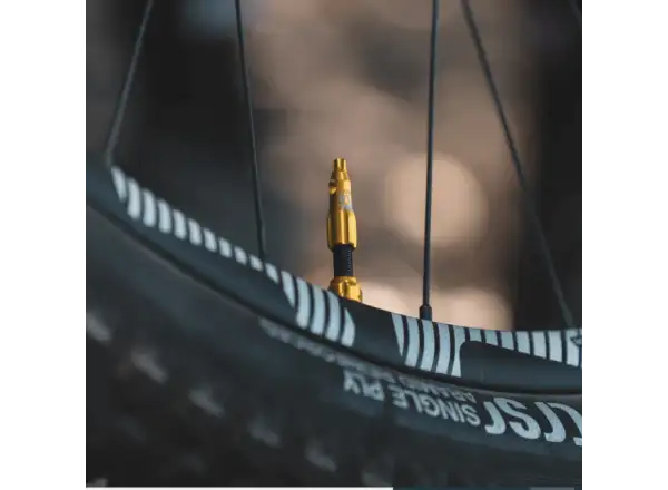 Lezyne CNC TLR Ventil für Tubeless-Reifen 80 mm in Gold