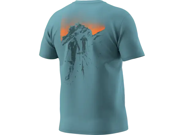 Dynafit Back Graphic Cotton Herren T-Shirt Kurzarm Overcast/Summit