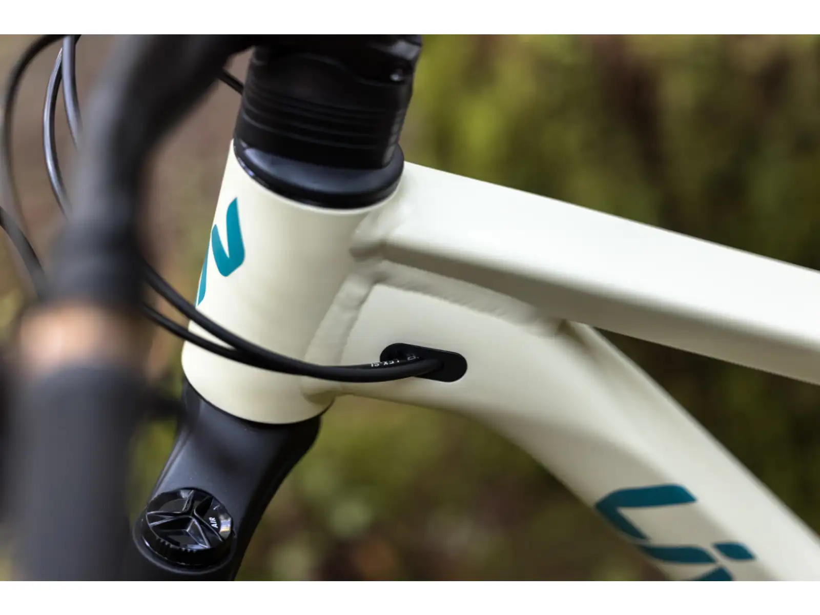 Liv Embolden 2026 Mountainbike Pale Moss