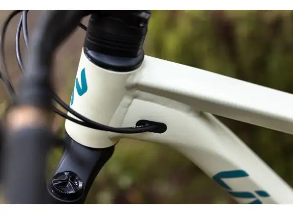 Liv Embolden 2026 Mountainbike Pale Moss