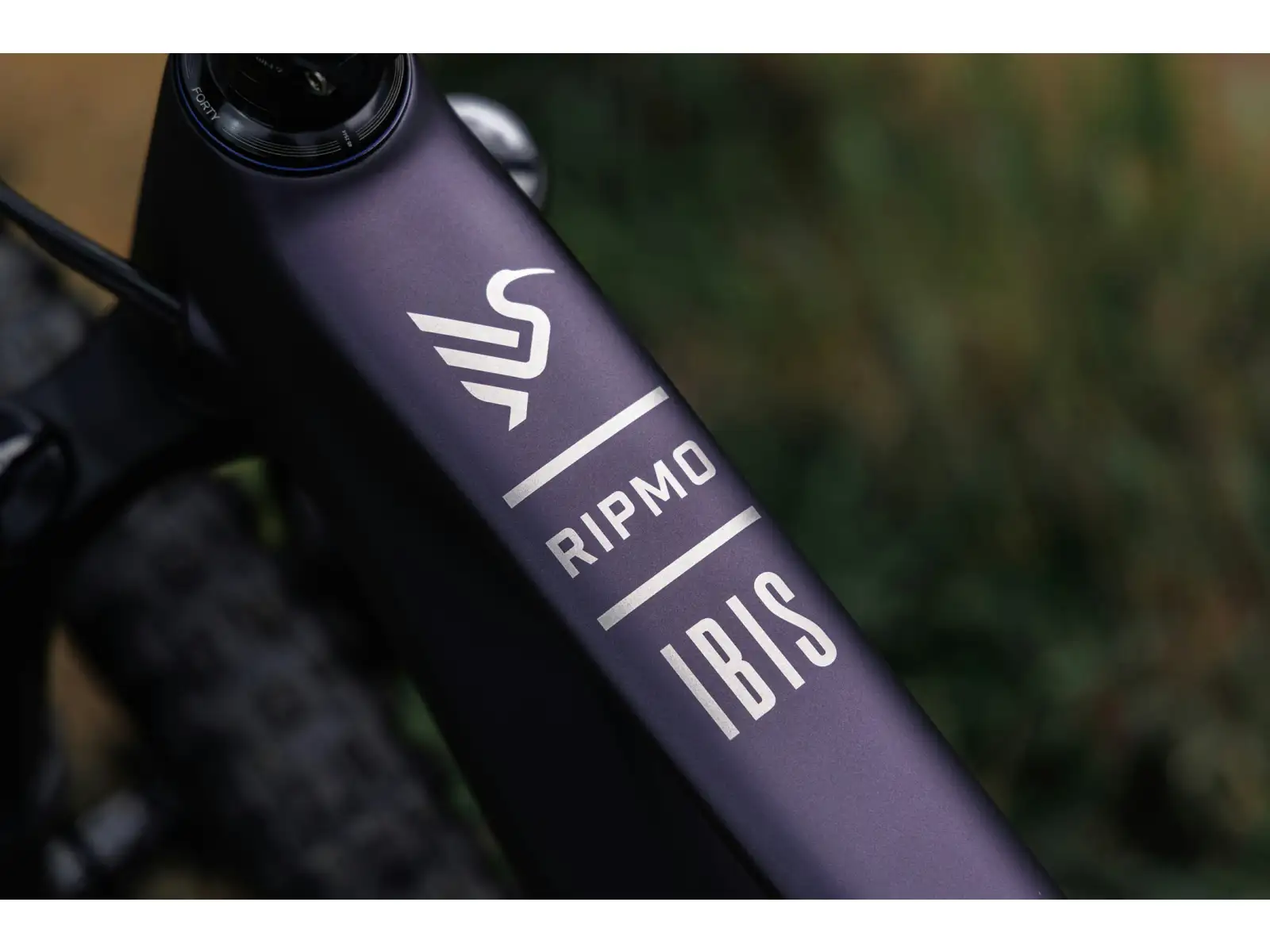 Ibis Ripmo V3 XTR Di2 Mountainbike Heckleberry Purple