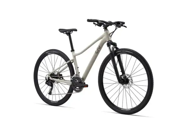 Giant Rove 3 Trekkingrad Pulp Gray