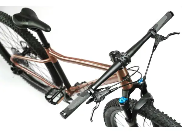 Rascal Wild 29 Kinderfahrrad Bronze
