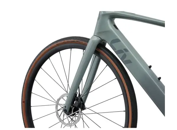Liv Avail Advanced E+ Elite AR Renn-E-Bike Eucalyptus/Ocean Storm