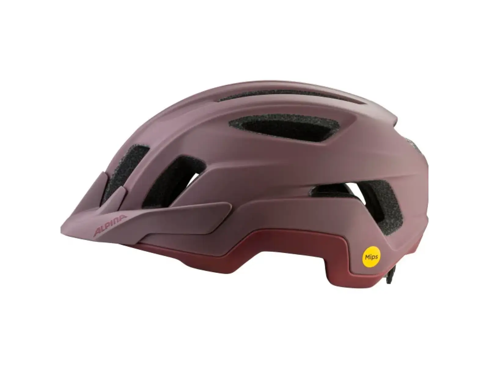 Alpina Paranus Mips Helm Raisin Matt