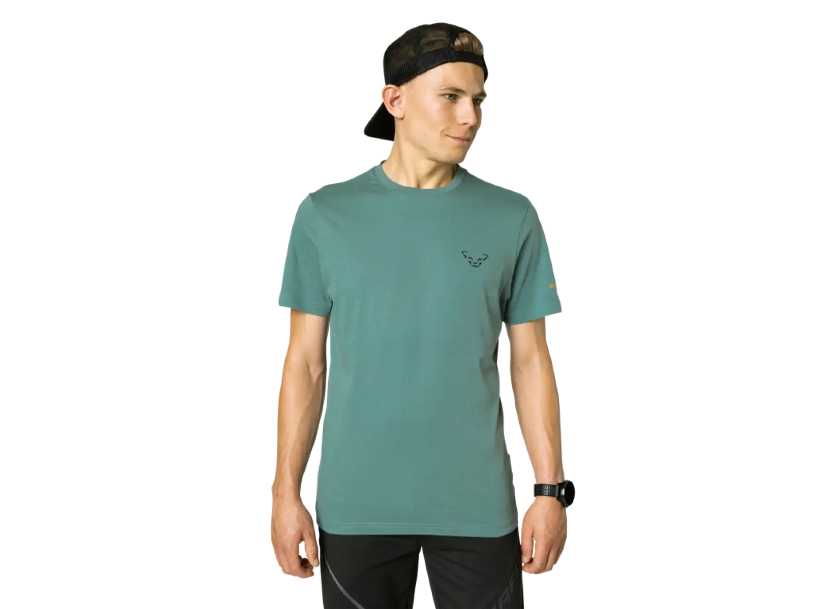 Dynafit 24/7 Graphic Herren T-Shirt Kurzarm Atlantic/Sunrise Trail