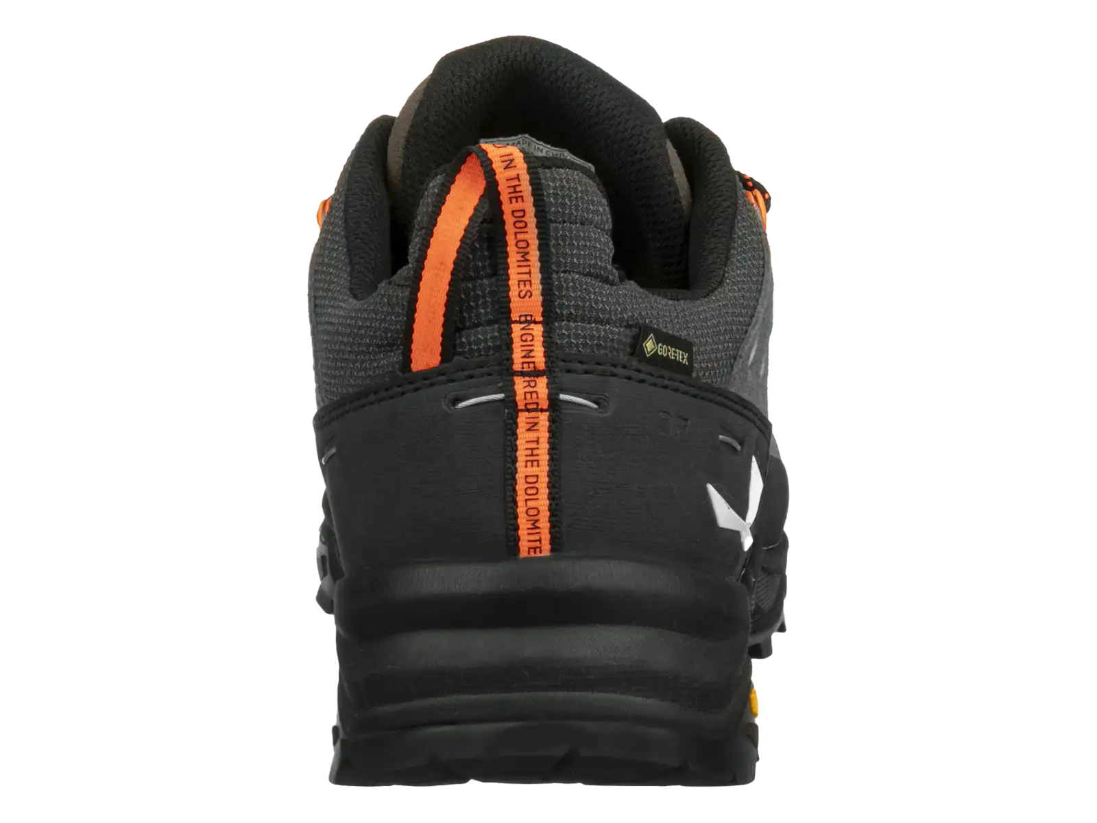 Salewa Alp Trainer 2 GTX Herrenschuhe Bungee Cord/Black