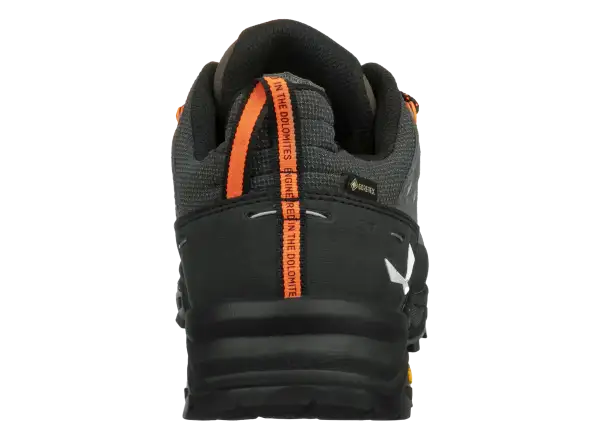 Salewa Alp Trainer 2 GTX Herrenschuhe Bungee Cord/Black
