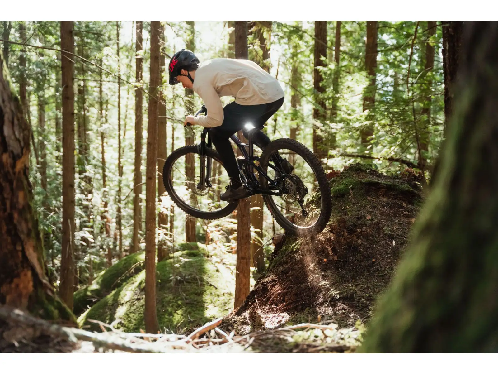 GT Sensor 29 Carbon Elite WGR Mountainbike