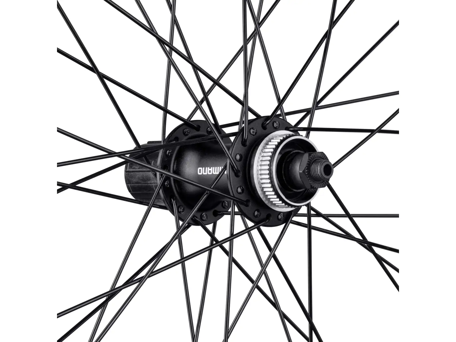 Force XC Disc 26 hinterrad gespeichtes Rad FHM3050-CL 36 Löcher