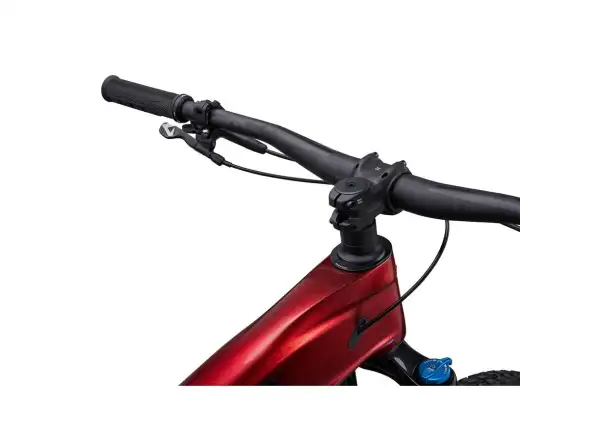 Giant Trance X Advanced 2 vollgefedertes Mountainbike Sangria