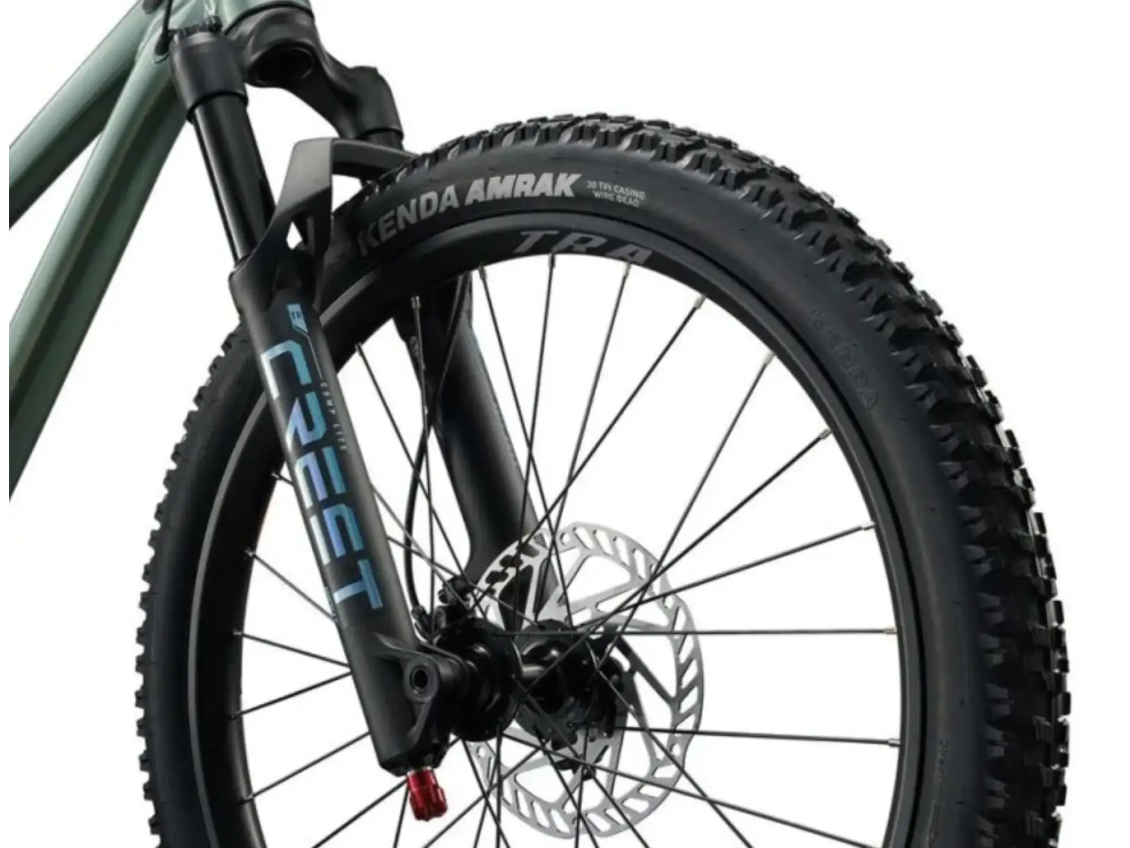 Liv STP 24 Kinder-Mountainbike Alpine Green