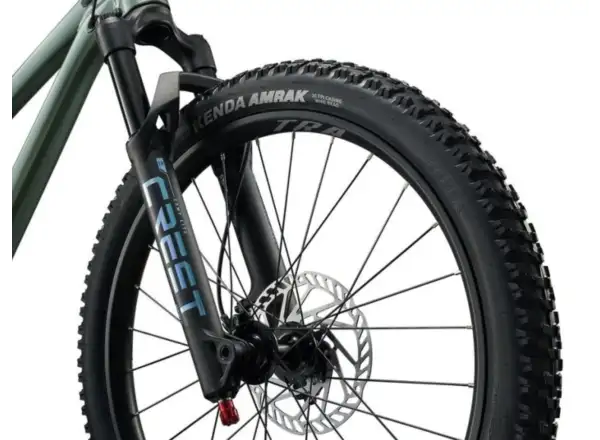 Liv STP 24 Kinder-Mountainbike Alpine Green