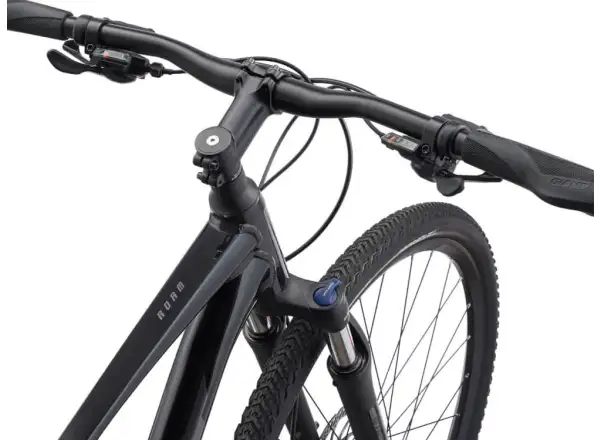 Giant Roam 2 Disc Schwarz Trekkingrad
