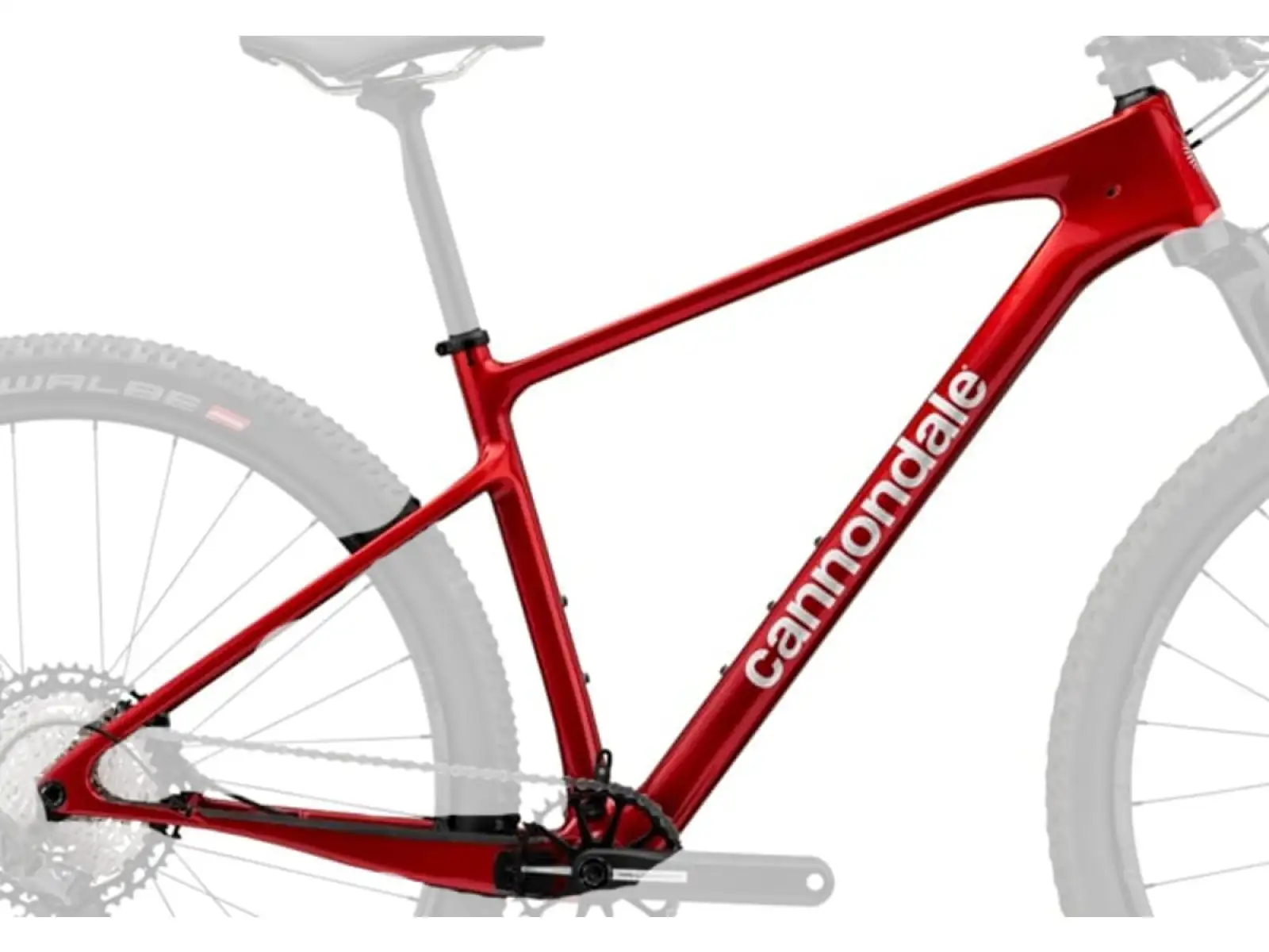 Cannondale Scalpel HT Carbon MTB Rahmen CRD.
