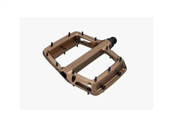 Race Face Turbine Pedale – Kash Money