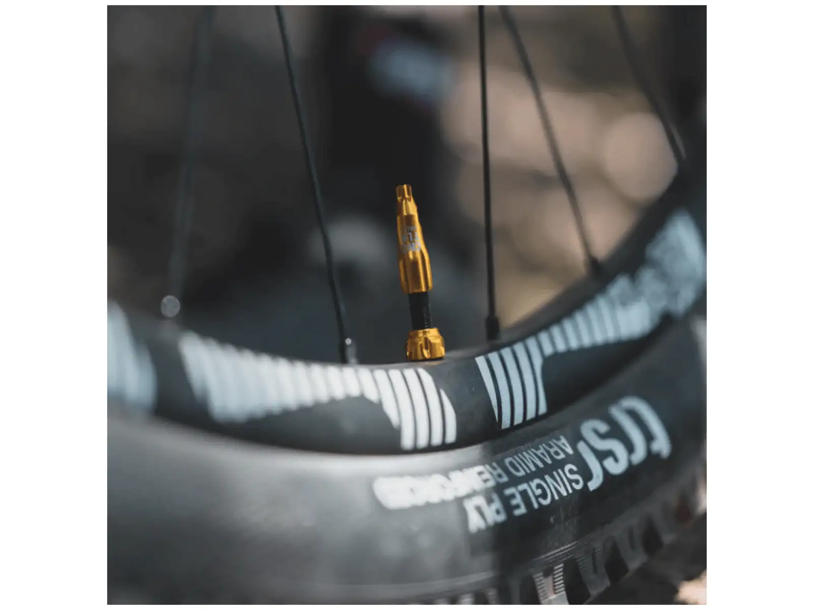 Lezyne CNC TLR Ventil für Tubeless-Reifen 80 mm in Gold