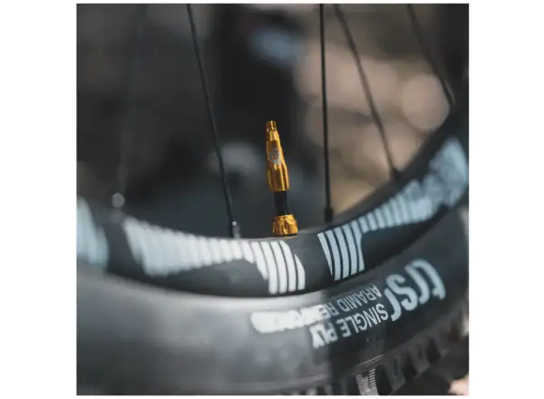 Lezyne CNC TLR Ventil für Tubeless-Reifen 80 mm in Gold