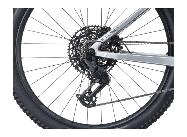 Crussis e-Largo AX 10.12-M2(800) Mountain-E-Bike