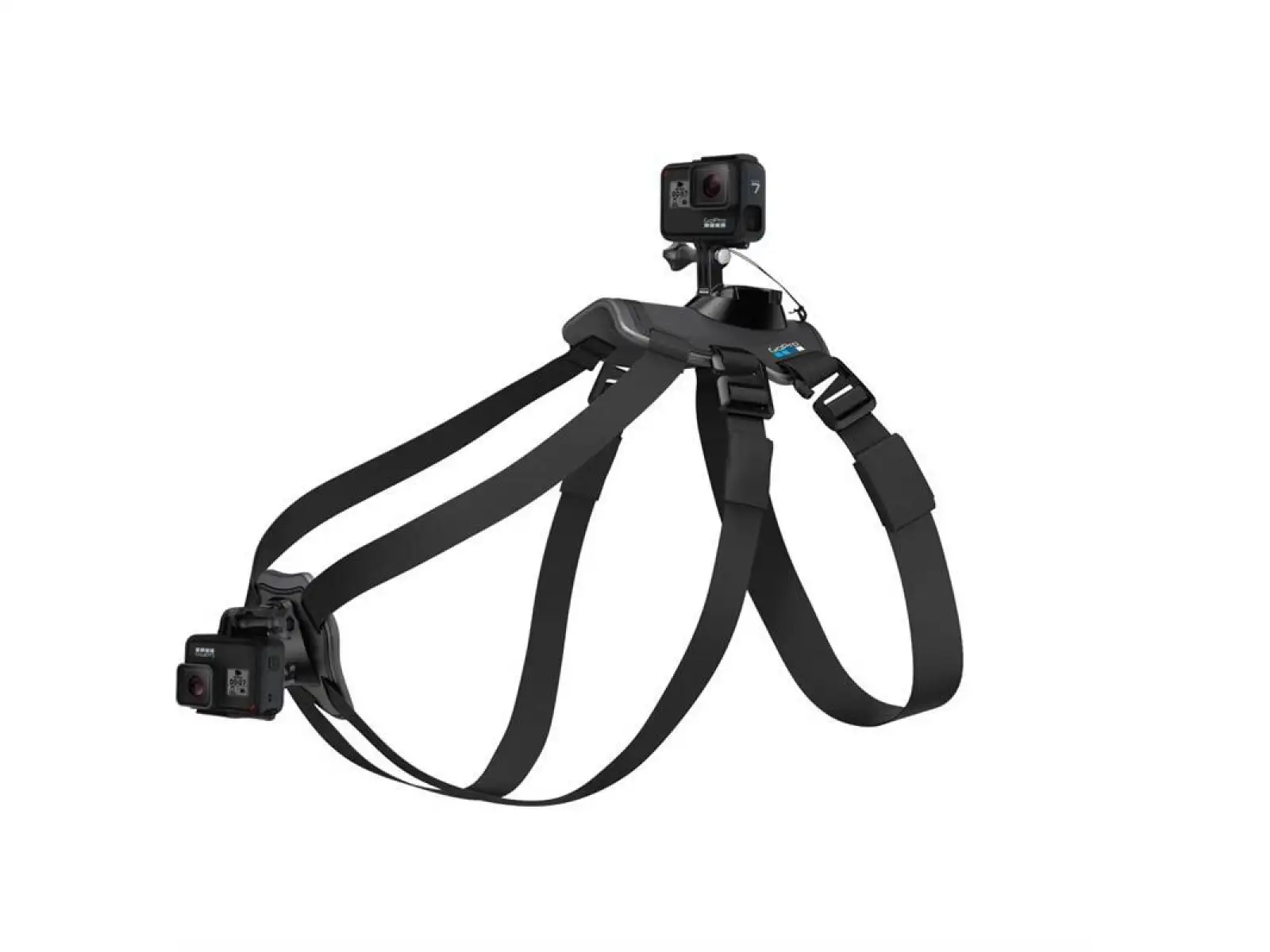 GoPro Hundegeschirr