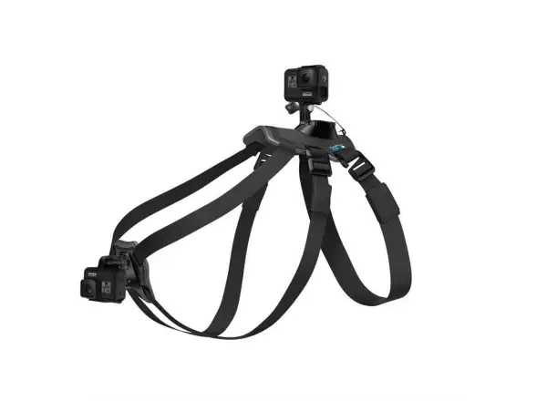 GoPro Hundegeschirr