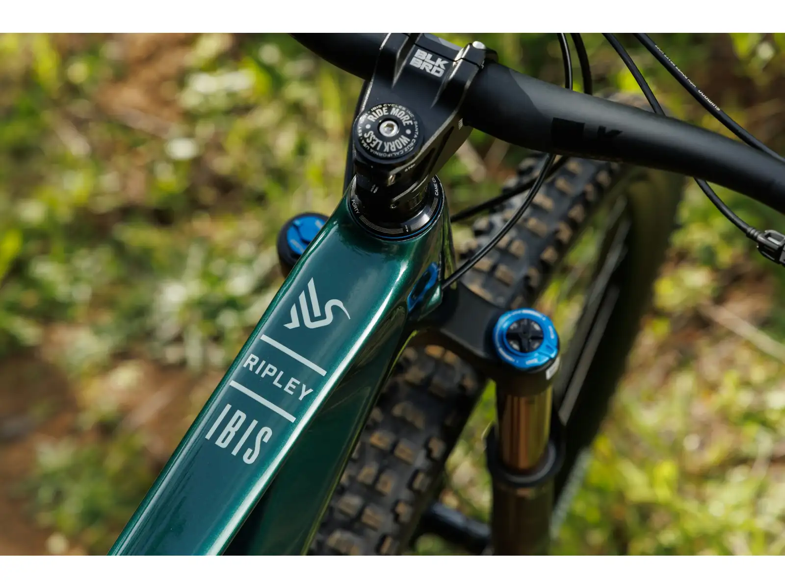 Ibis Ripley V5 SLX Mountainbike Green Flash
