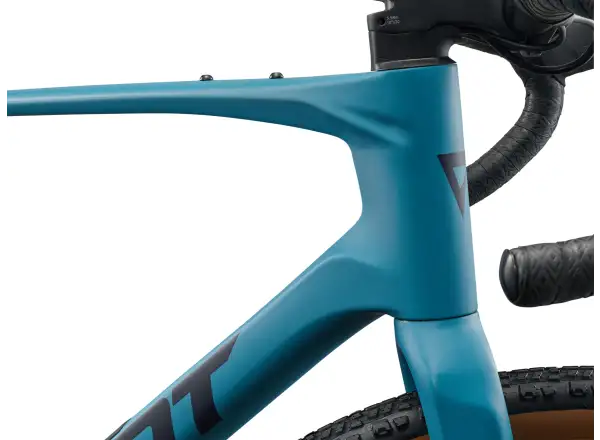 Giant Revolt Advanced 3 Gravel Fahrrad Aquarium
