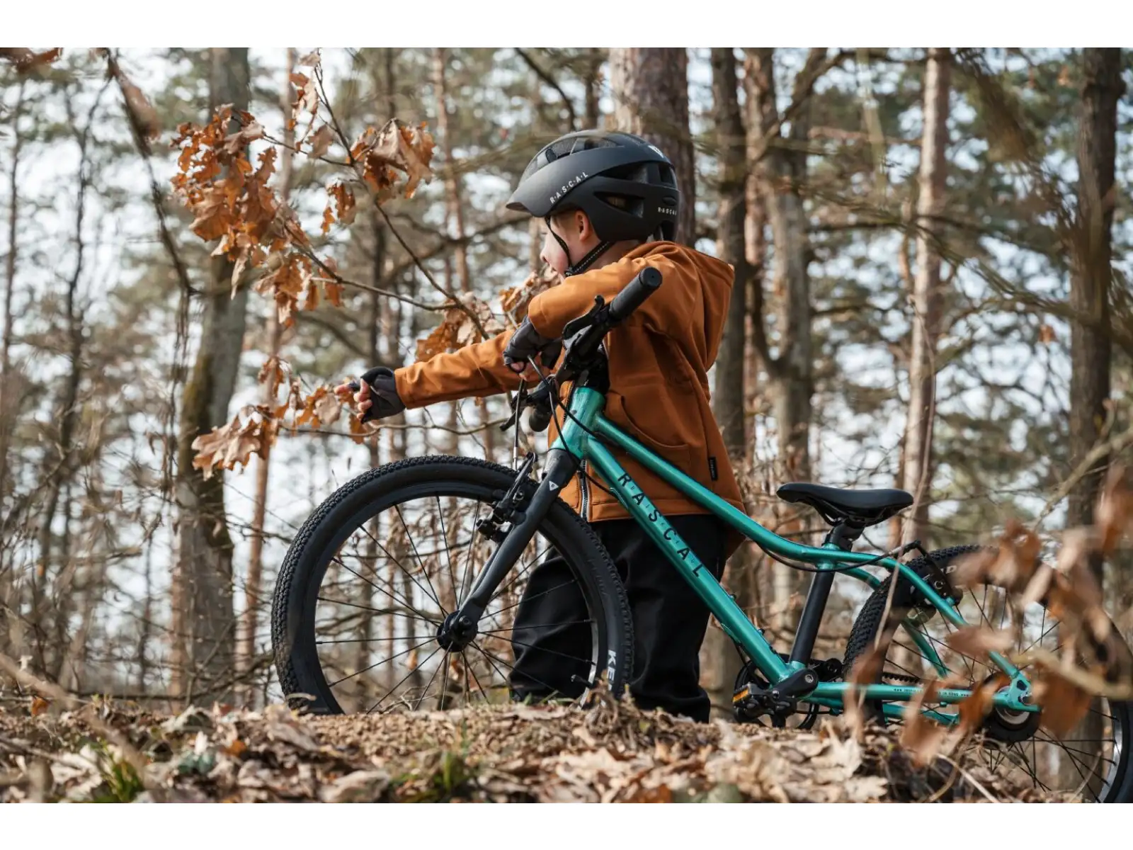 Rascal 20 Limited Kinderfahrrad Emerald