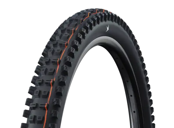Schwalbe Tacky Chan Evolution Super Ground E-50 TLE Addix Soft 29x2,40" MTB Reifen Kevlar cz