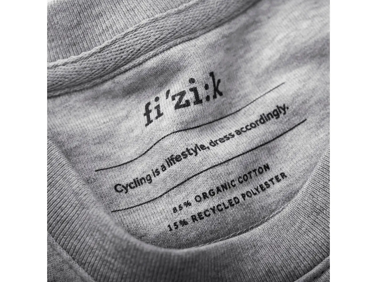 Fizik Logo Sweatshirt Gray