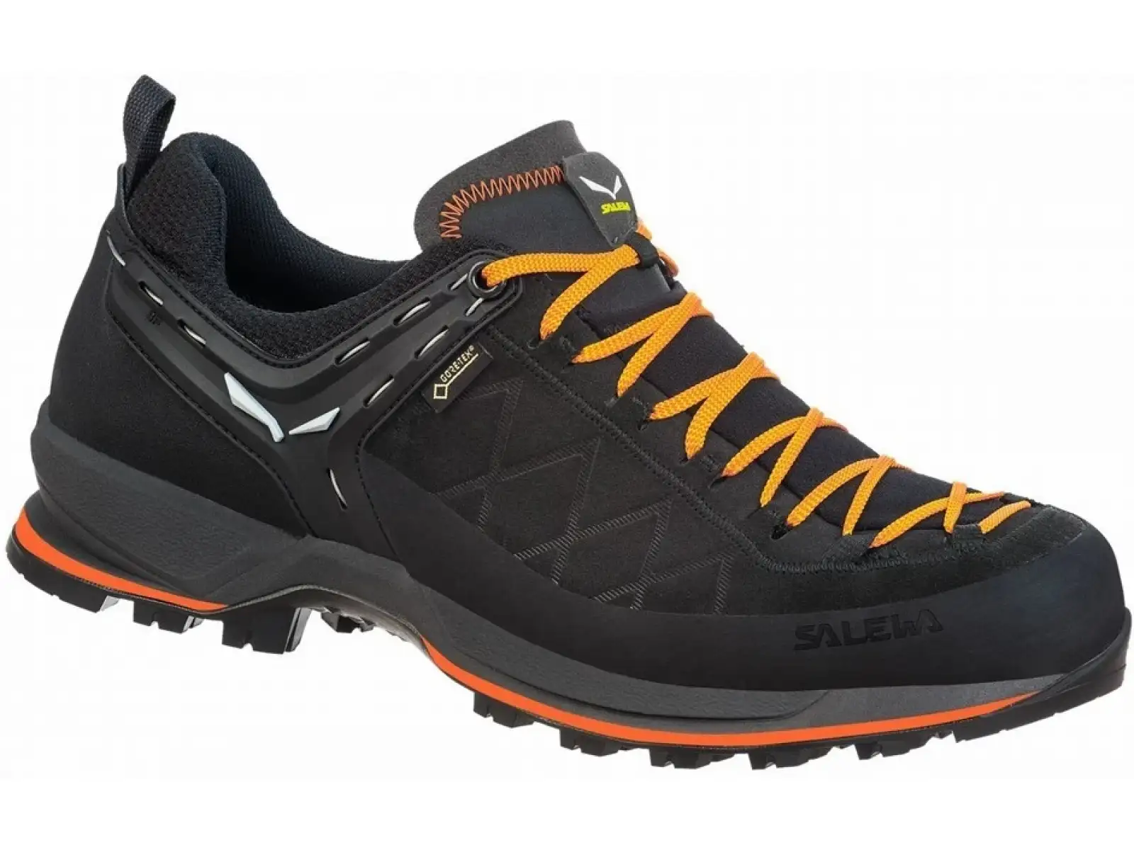 Salewa MTN Trainer 2 GTX Herren-Trekkingstiefel in Schwarz.
