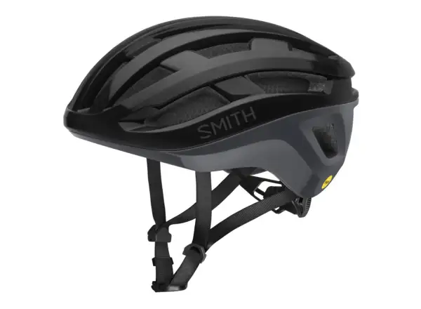 Smith Persist 2 Mips Helm Black Cement