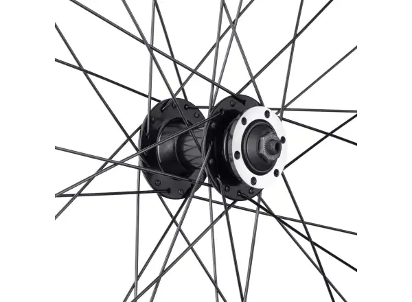 Force XC Disc 29 Vorderrad Laufrad Nabe F804332