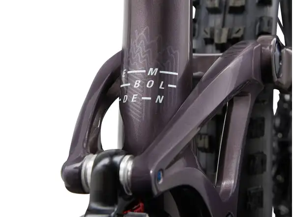 Liv Embolden 29 1 Damen-Mountainbike Charcoal Plum
