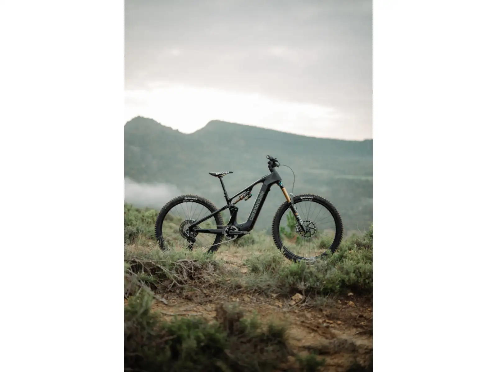 Cannondale Moterra Carbon 1 vollgefederte Elektrofahrrad mattschwarz (BBQ) GEPRÜFT