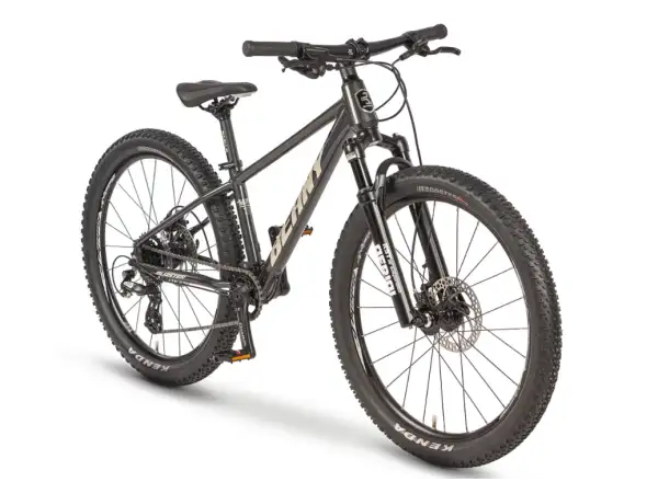 Beany Blaster 24 Kinderfahrrad – Schwarzes, sportliches Design