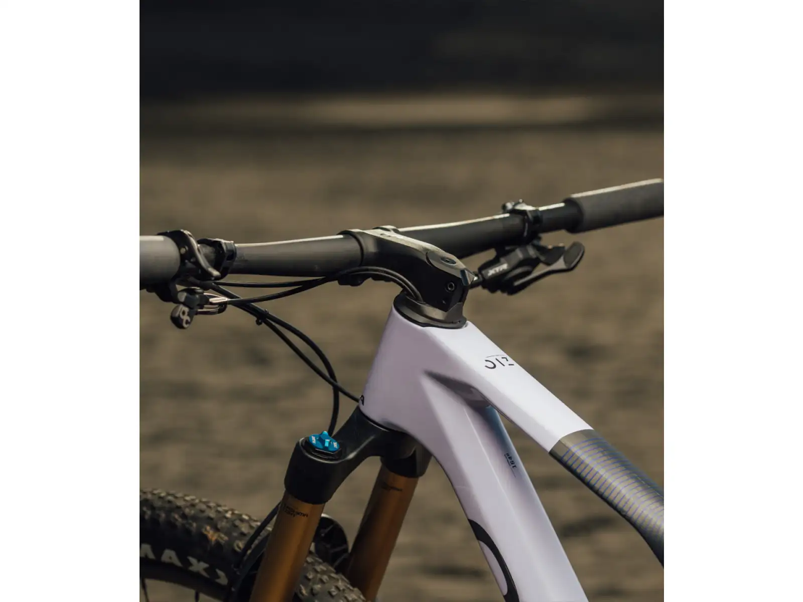 Orbea OIZ M-TEAM AXS Mountainbike Digital Lavender/Carbon Raw