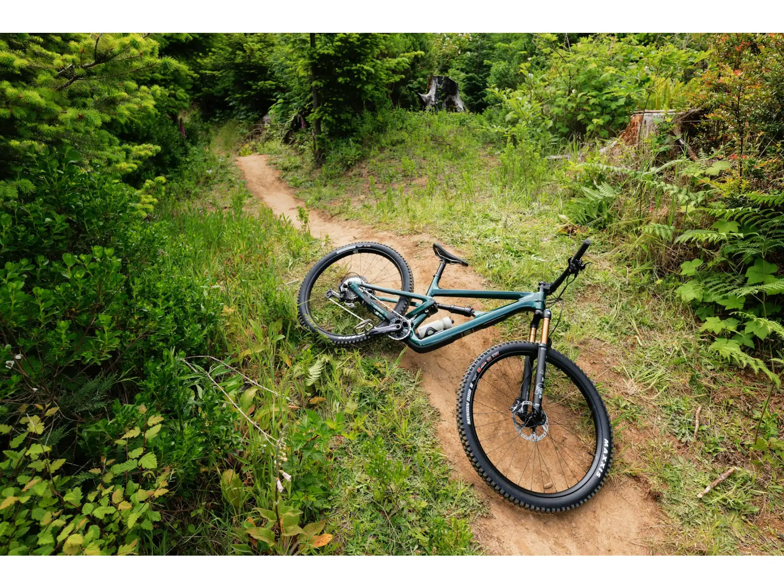 Ibis Ripley V5 XTR Di2 Mountainbike Green Flash