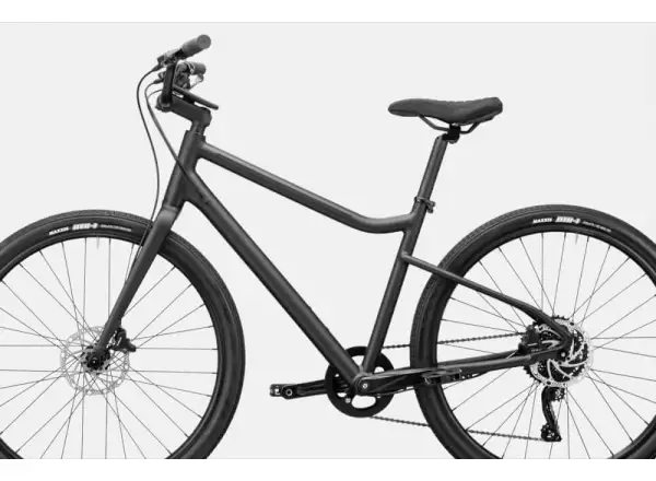 Cannondale Treadwell 2 Ltd RAW Fitnessbike