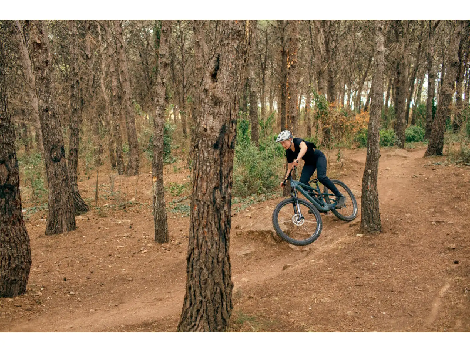 Cannondale Habit Carbon 1 JDE Mountainbike